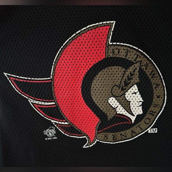 Vintage 1994 Ottawa Senators 🏒 Ravens Centurion Training Hockey Jersey NHL - Picture 6 of 11